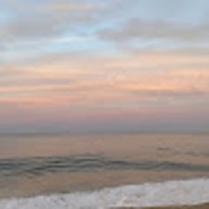 Meet your Posher, Lexi